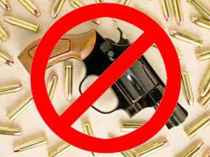 Campanha do Desarmamento recolheu quase 650 mil armas em dez anos