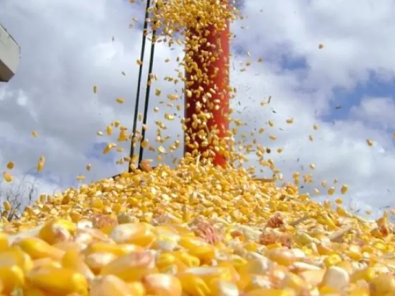 Agroindústria está presente no dia a dia da população sul-mato-grossense