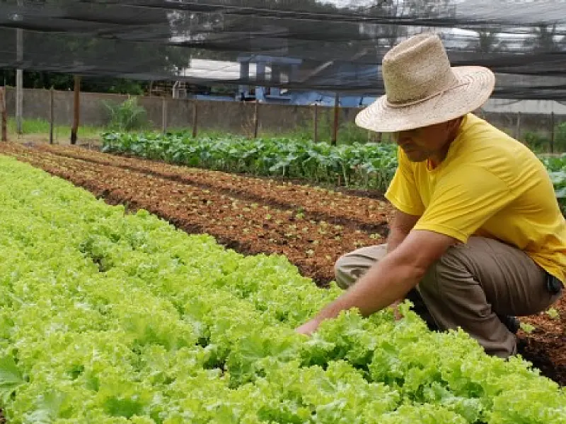 Governo anuncia redução de juros para pequenos agricultores