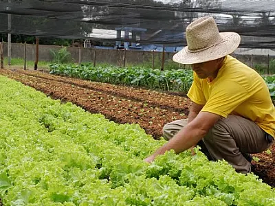 Governo anuncia redução de juros para pequenos agricultores