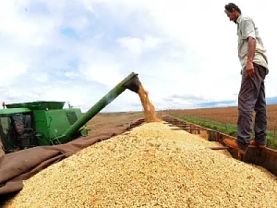 Expectativa de crescimento da safra de 2013 sobe em julho