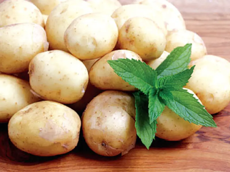 Tomate e batata puxam alta da Cesta Básica Individual em junho