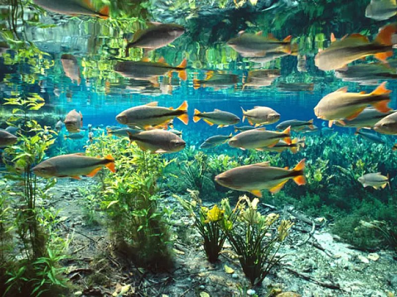 Bonito recebe o XIV Congresso Brasileiro de Limnologia em setembro