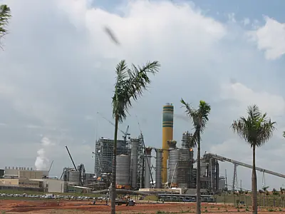 Maior fábrica de celulose do mundo está quase pronta