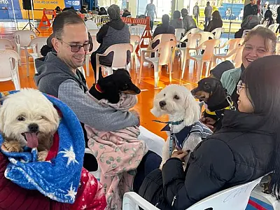 Em Três Lagoas, Caravana da Castração inicia segunda etapa com formação técnica para municípios