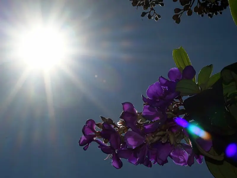 Sábado será de sol e tempo seco em Mato Grosso do Sul
