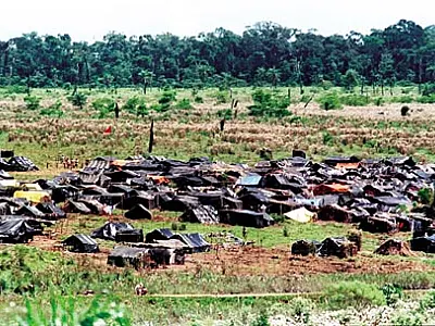 Venda irregular de lotes paralisa reforma agrária em MS