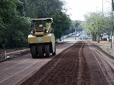 Além das obras, "Amigos do Parque" devem ficar atentos aos animais por causa do incêndio
