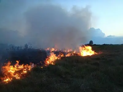 Proprietário de chácara é autuado em R$ 1 mil por incêndio em pastagem