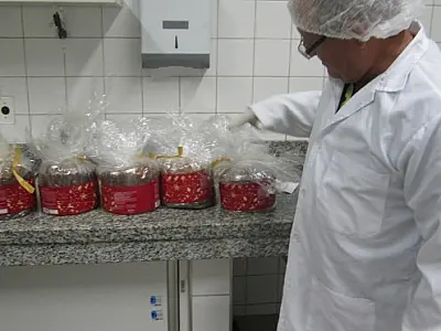 Agência de Metrologia fiscaliza produtos natalinos