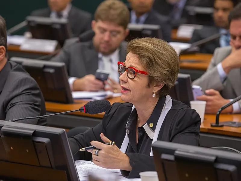 Tereza Cristina vai integrar CPI da Funai na Câmara dos Deputados