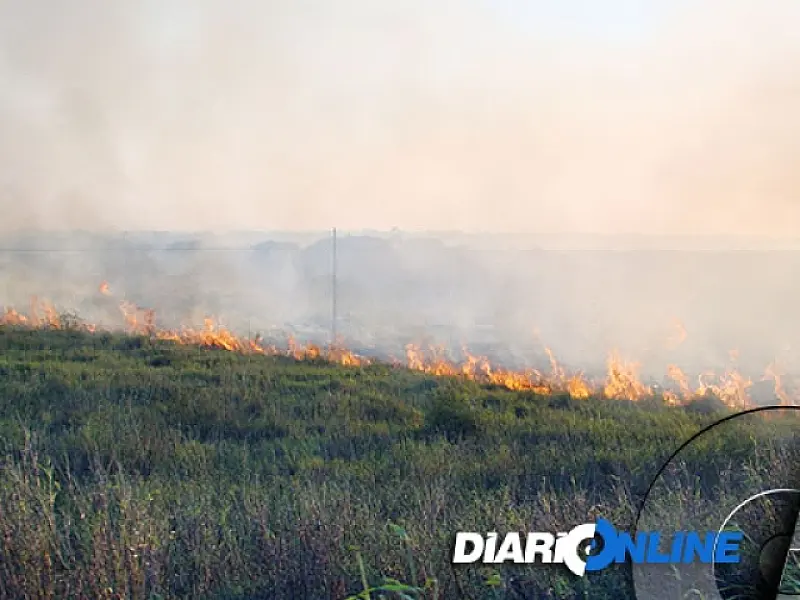 Fogo já consumiu 100 mil hectares de mata e pastagens em Corumbá