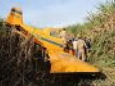 Piloto sai ileso de pouso forçado em canavial de Nova Andradina