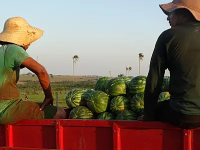 Tecnofam começa nesta terça-feira e discutirá sobre tecnologias e conhecimentos para agricultura familiar