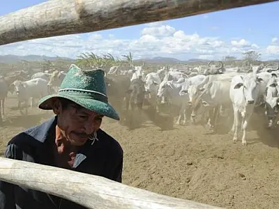 Imposto sobre a Propriedade Territorial Rural deve ser pago até amanhã