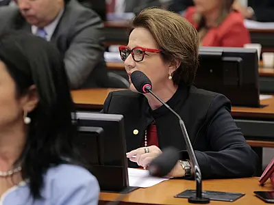 Tereza Cristina propõe discussão de pirataria de semente de soja na Câmara Federal