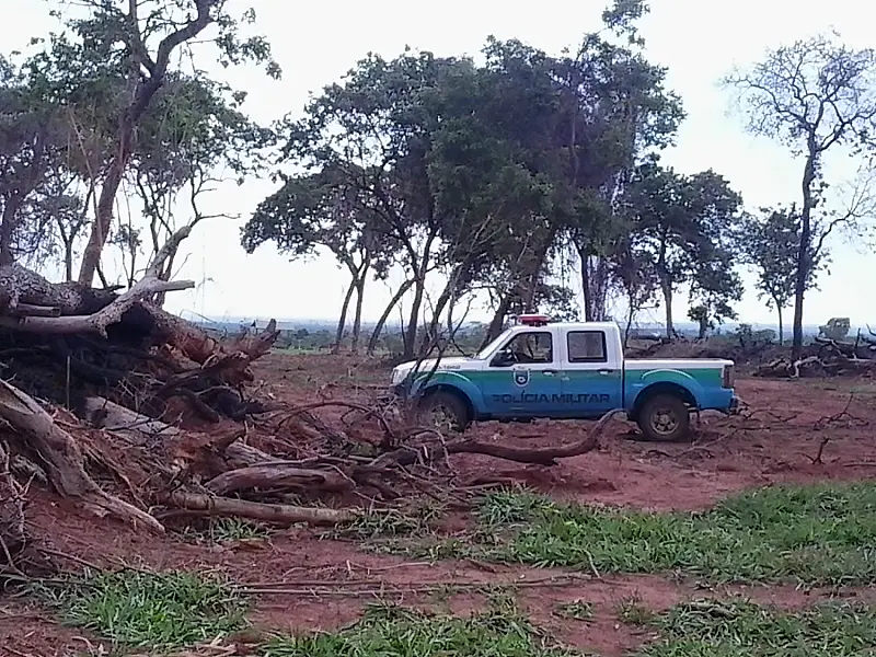 PMA autua pecuarista em R$ 12,7 mil por desmatamento, incêndio e exploração de madeira