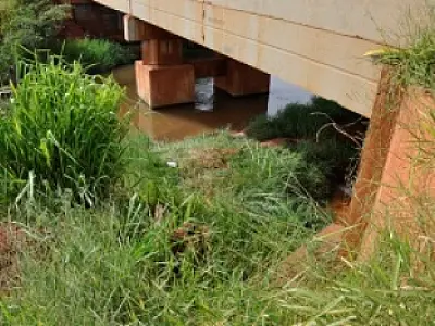 Corpo de militar aposentado é encontrado em córrego, em Nova Andradina