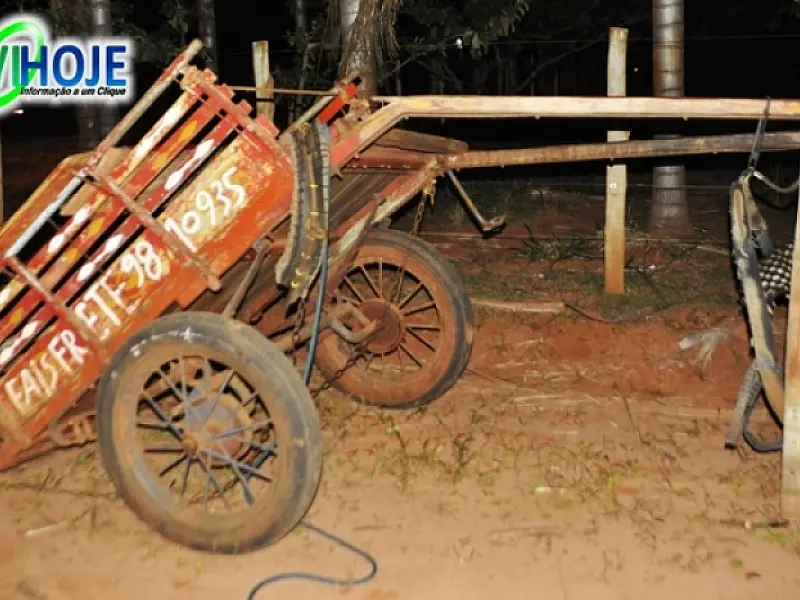 Motociclista tenta ultrapassar e colide com carroça na MS-141