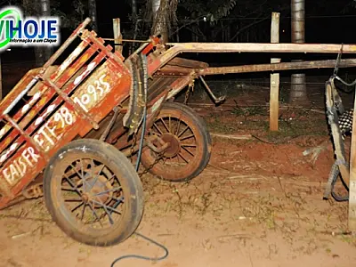 Motociclista tenta ultrapassar e colide com carroça na MS-141