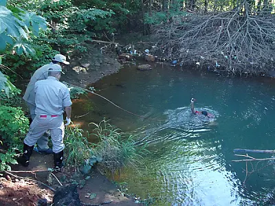 Menino de 10 anos é encontrado morto em valeta