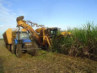 MS reduz atraso na produção sucroenergética
