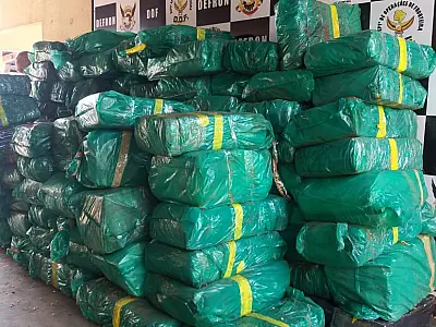 Polícias estaduais apreendem cerca uma tonelada de maconha por dia em MS