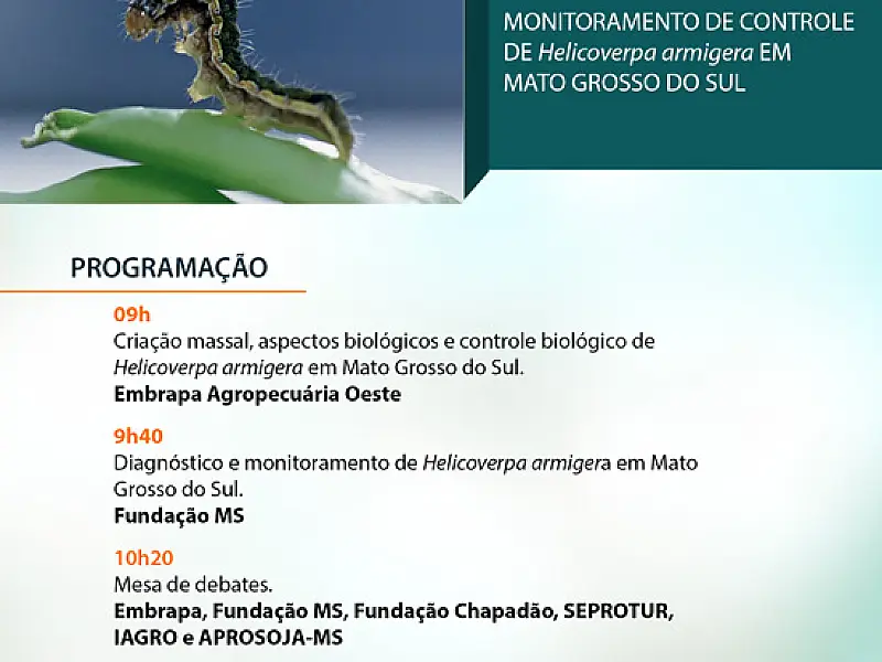 Monitoramento da Helicoverpa é tema de workshop em Dourados