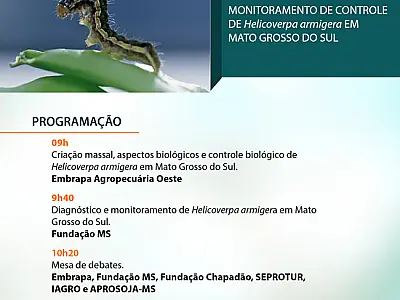 Monitoramento da Helicoverpa é tema de workshop em Dourados