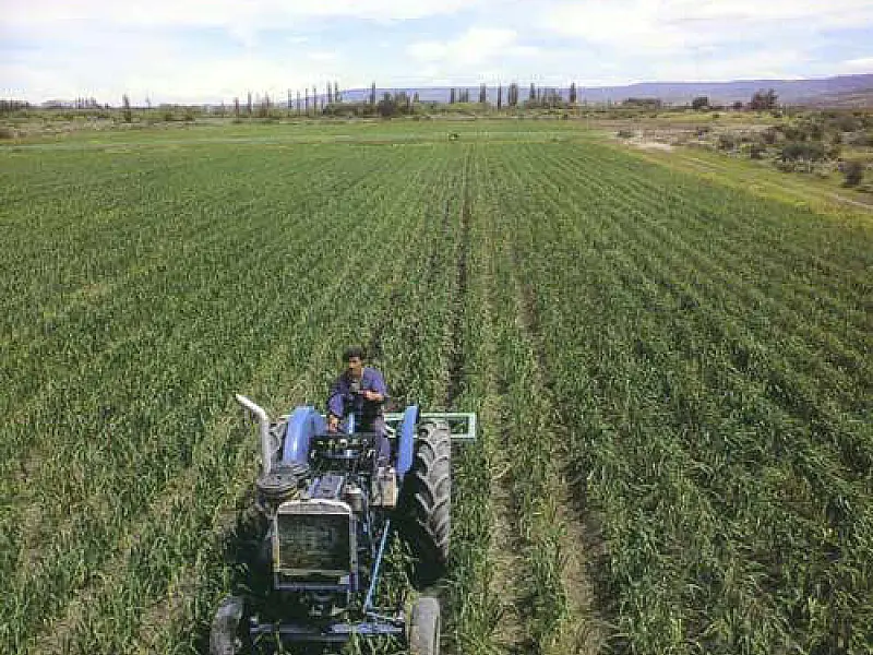 Sistema de monitoramento agrícola de MS será lançado na quarta-feira