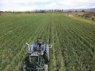Sistema de monitoramento agrícola de MS será lançado na quarta-feira