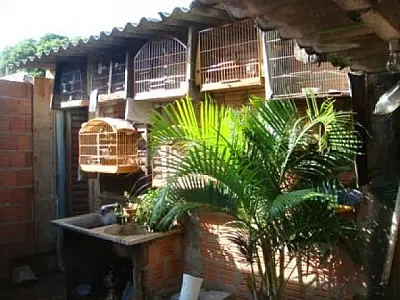 PMA autua homem por criar aves silvestres ilegalmente