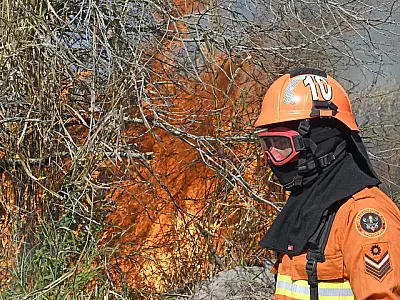 Prevenção aos incêndios florestais será discutida por autoridades nesta terça e quarta na Famasul