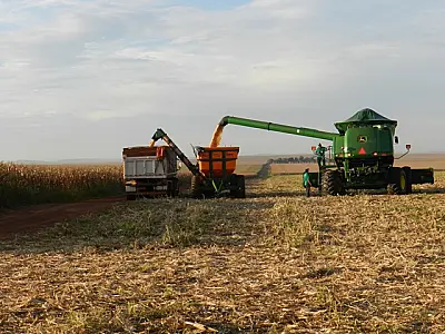 Exportação de milho sobe 704% e bate recorde em MS