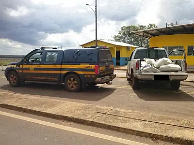 Casal é preso com meia tonelada de maconha