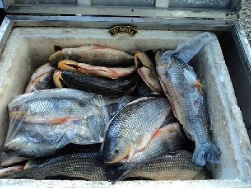 Paulistas são multados em R$ 11 mil por pesca ilegal em MS