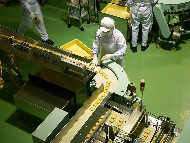 Setor industrial de MS pode crescer 17,4% no próximo ano