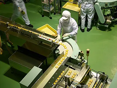 Setor industrial de MS pode crescer 17,4% no próximo ano