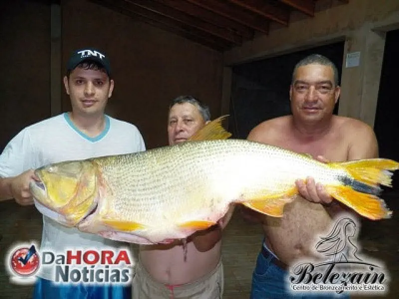Homem pesca Dourado com mais de 13 kg em Fátima do Sul