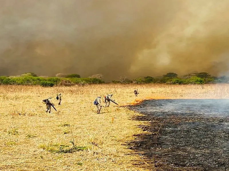 Combate aos incêndios no Pantanal mobiliza 510 homens e seis aeronaves: incidência de focos é menor