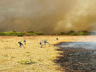 Combate aos incêndios no Pantanal mobiliza 510 homens e seis aeronaves: incidência de focos é menor