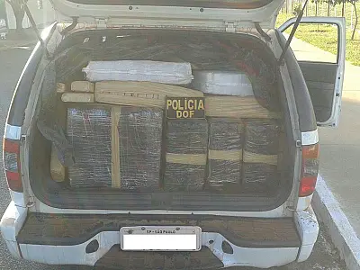 Policiais apreendem 828 quilos de maconha em veículo