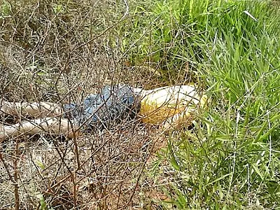 Irmãos são presos acusados de matar jovem em São Gabriel