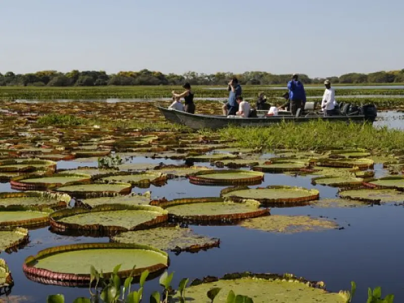 Turismo de Mato Grosso do Sul será representado em mais 8 feiras nacionais neste semestre