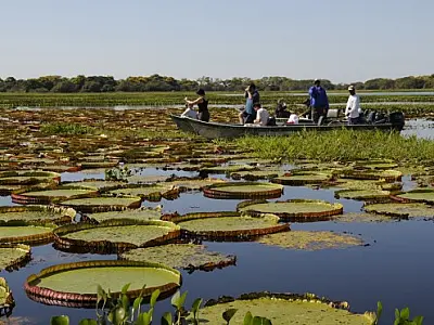 Turismo de Mato Grosso do Sul será representado em mais 8 feiras nacionais neste semestre