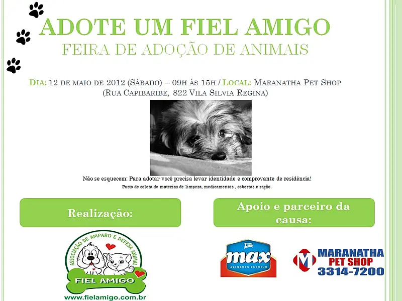 Feira de adoção de animais acontece neste sábado na Capital