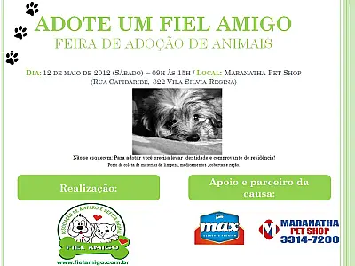 Feira de adoção de animais acontece neste sábado na Capital