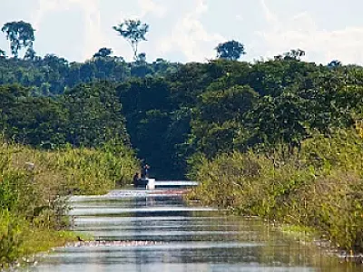 Lei prevê implantação de açudes a cada 15 km no Pantanal