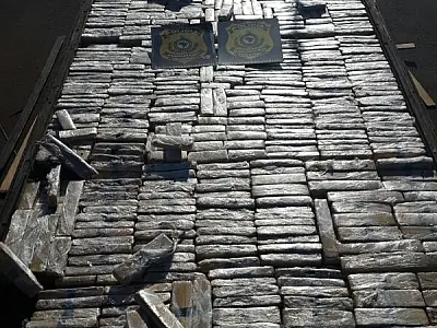 PRF apreende maconha em fundo falso de caminhão; cerca de 1,293 kg