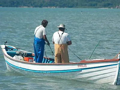Carteira de pescador profissional começa a ser entregue esta quarta